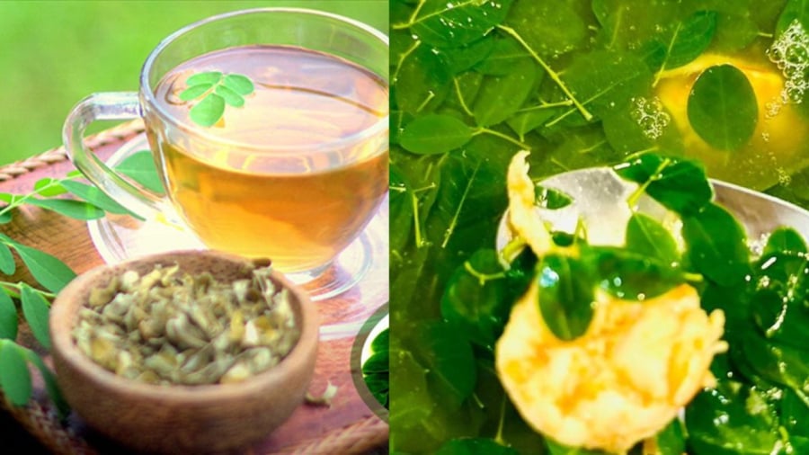 Rau chùm ngây có thể làm trà hoặc nấu canh, nấu cháo