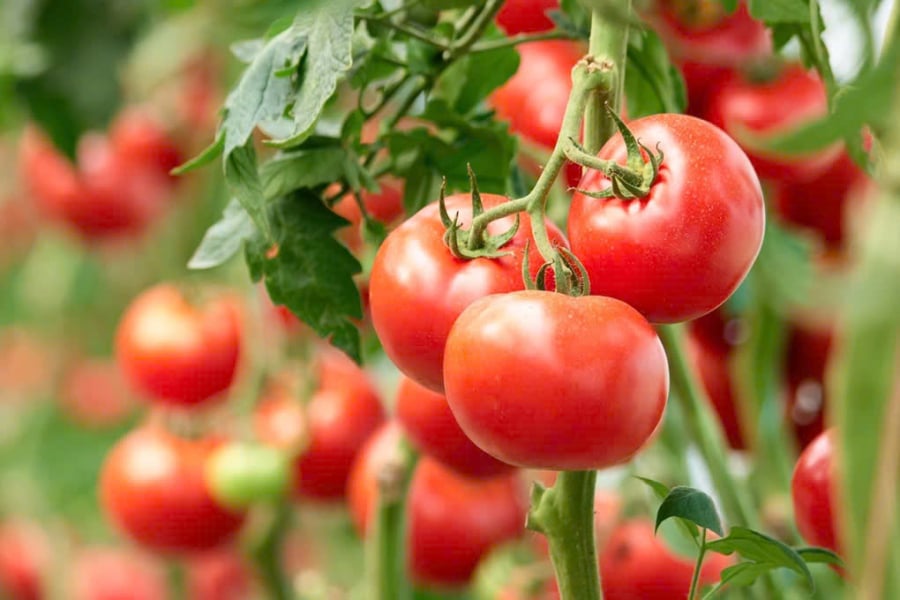 z6494542684630_a1fa60b7814de4e83130e5b1fe7eedeb