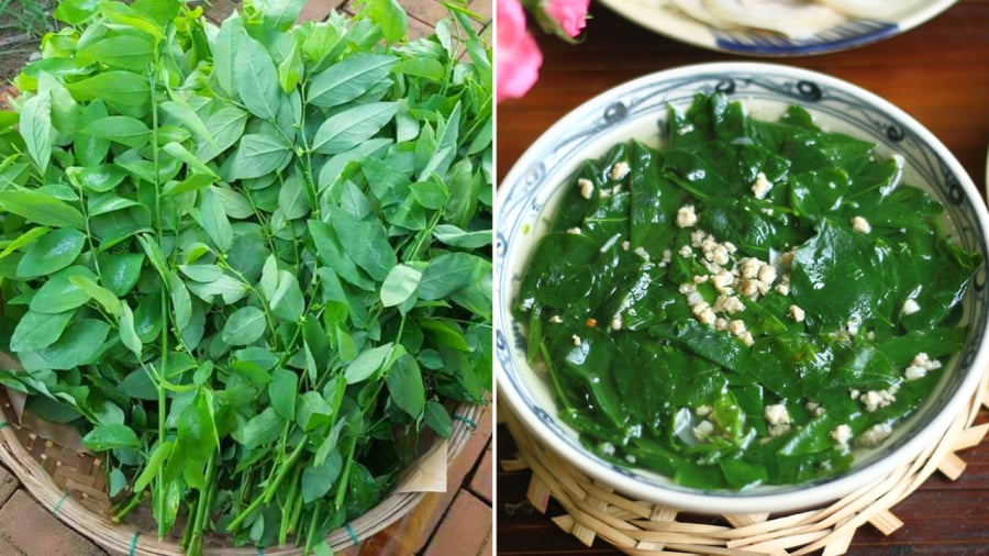 Rau ngót tốt cho sức khỏe nhưng không phải ai cũng nên ăn.