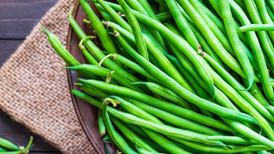 rau-cu-phun-hoa-chat-3