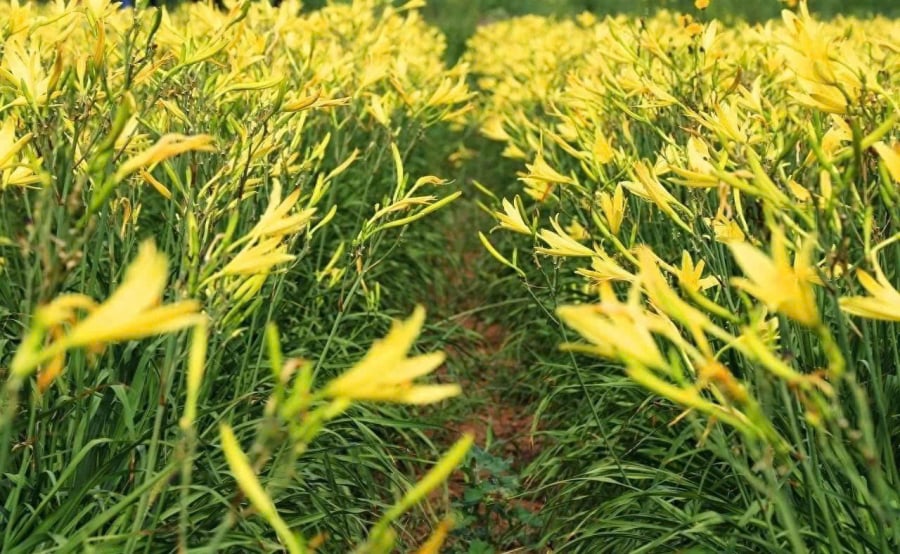 z6634809110225_82e0b3bf9c001fbf547e3806f4a158a3