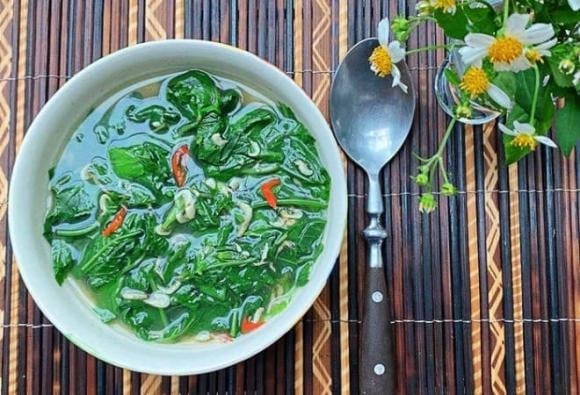 Vào mùa xuân, cây xuyến chi mọc xanh tốt với những chồi non mướt mát – một nguồn nguyên liệu tự nhiên giàu dinh dưỡng mà nhiều người thường nhầm là cỏ dại và bỏ qua.