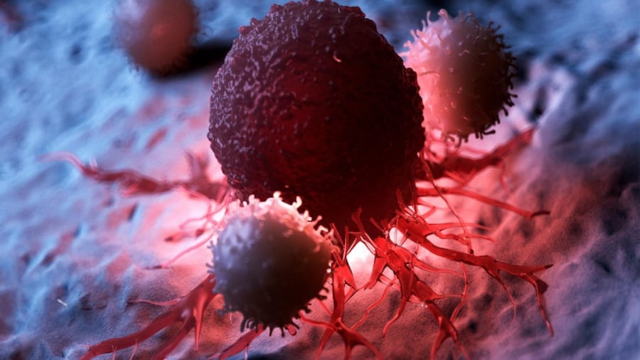 10 dấu hiệu cảnh báo ung thư sớm ở trẻ em: Bố mẹ cần biết sớm để cứu mạng con