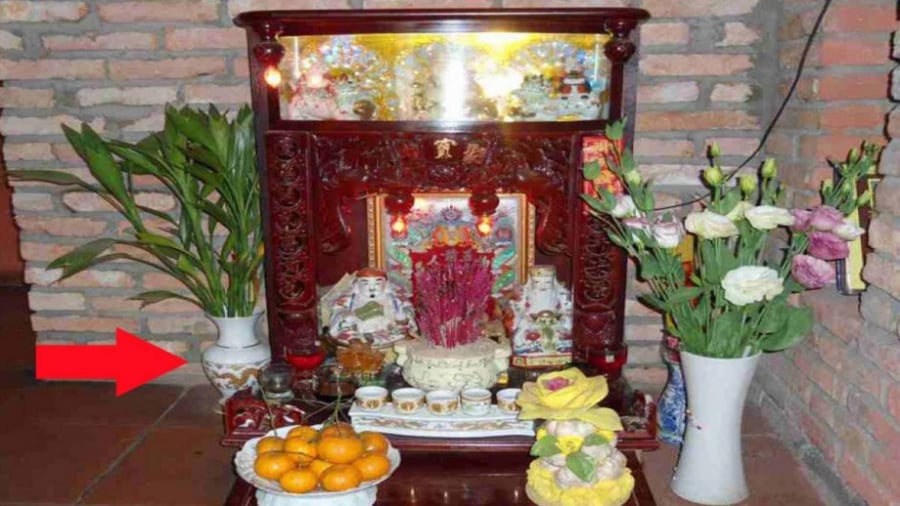 cach-dat-than-tai-tho-dia