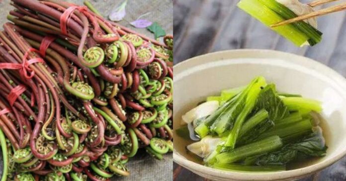 day-la-loai-rau-chua-chat-gay-ung-thu-cuc-manh-ma-who-canh-bao-nguoi-viet-nen-can-trong-keo-an-nham-67b8e-5486325_default