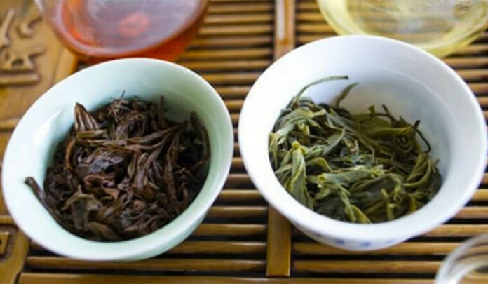 Bã trà bón cây có thực sự tốt cho cây trồng không?