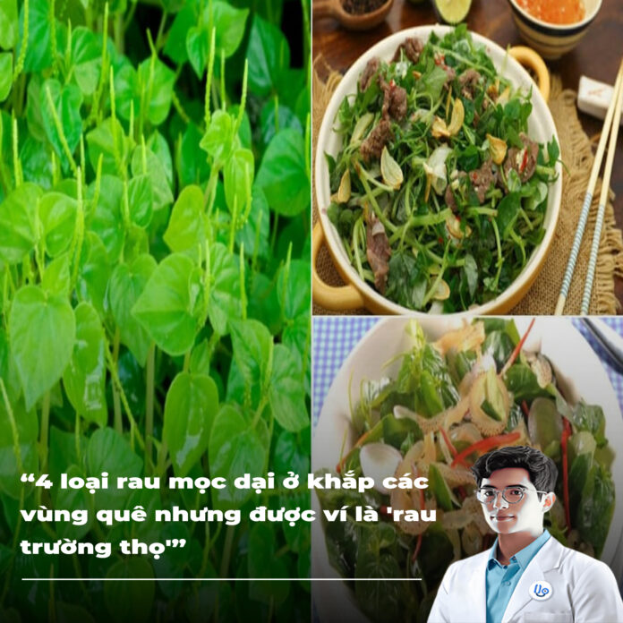 4 loại rau mọc dại ở khắp các vùng quê nhưng được ví là 'rau trường thọ'