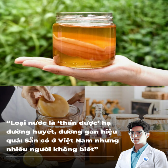 Loại nước là ‘thần dược’ hạ đường huyết, dưỡng gan hiệu quả Sẵn có ở Việt Nam nhưng nhiều người không biết