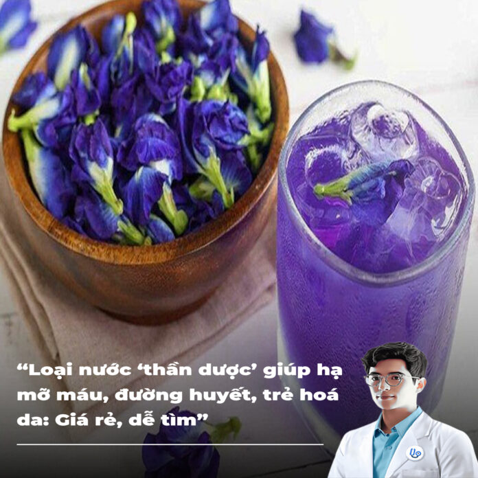 Loại nước ‘thần dược’ giúp hạ mỡ máu, đường huyết, trẻ hoá da Giá rẻ, dễ tìm