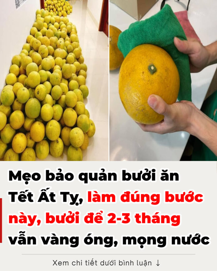 Mẹo bảo quản bưởi ăn Tết Ất Tỵ, làm đúng bước này, bưởi để 2-3 tháng vẫn vàng óng, mọng nước