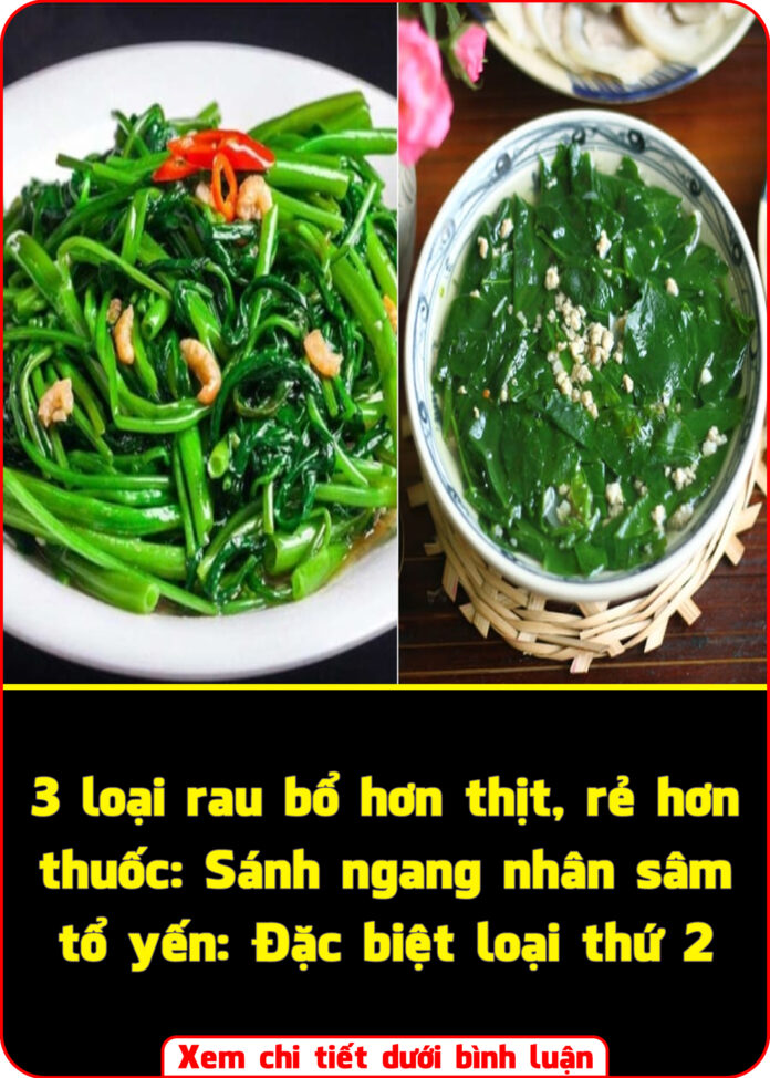 3 loại rau bổ hơn thịt, rẻ hơn thuốc Sánh ngang nhân sâm tổ yến Đặc biệt loại thứ 2