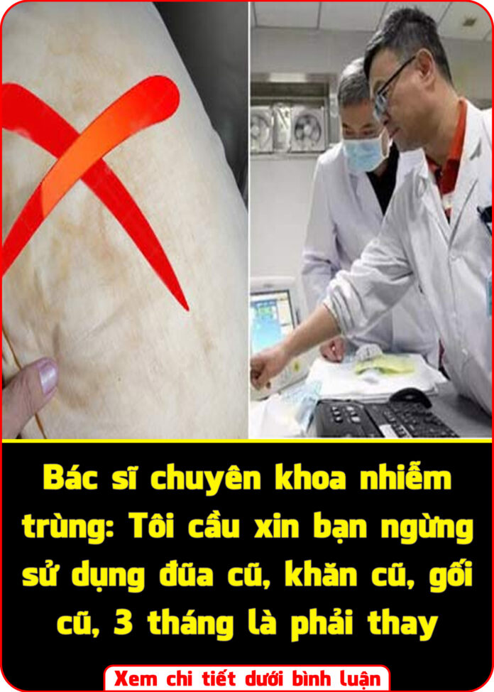 Bác sĩ chuyên khoa nhiễm trùng Tôi cầu xin bạn ngừng sử dụng đũa cũ, khăn cũ, gối cũ, 3 tháng là phải thay