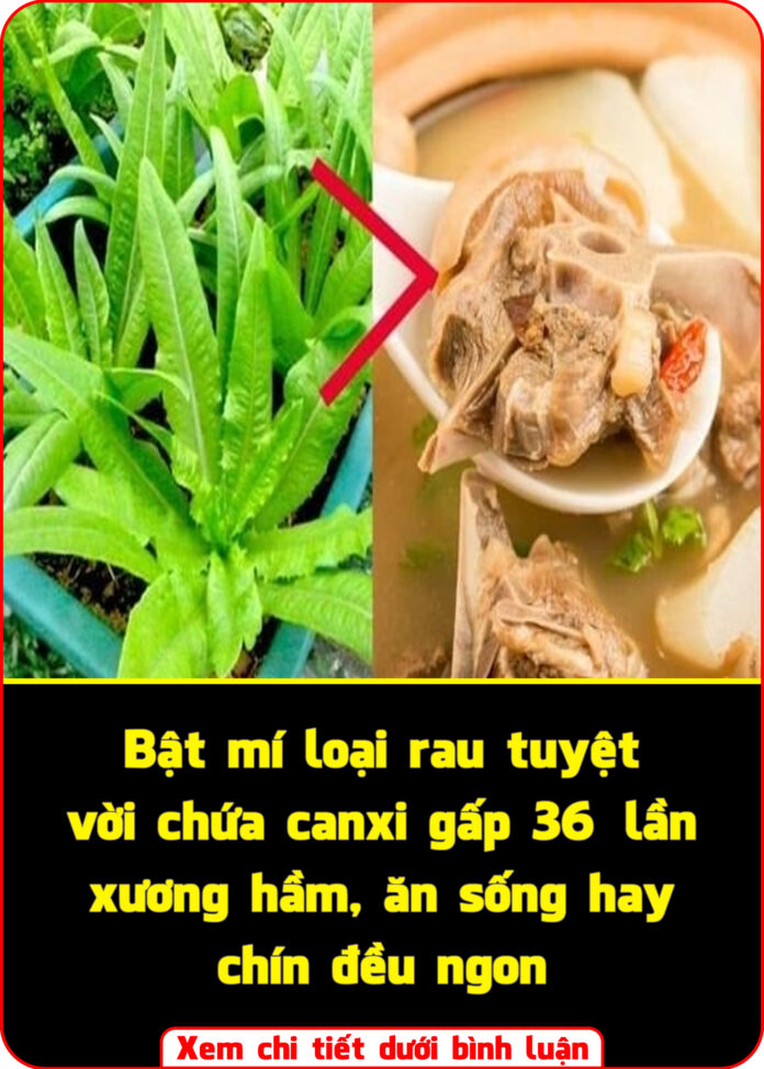 Bật mí loại rau tuyệt vời chứa canxi gấp 36 lần xương hầm, ăn sống hay chín đều ngon
