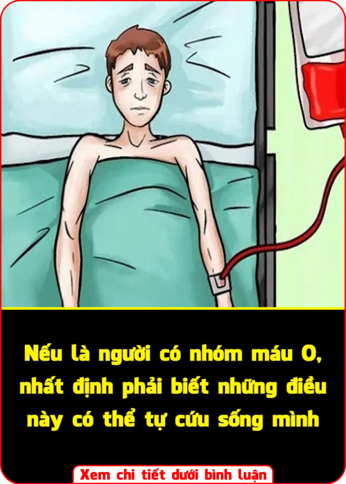 Nếu là người có nhóm máu O, nhất định phải biết những điều này có thể tự cứu sống mình