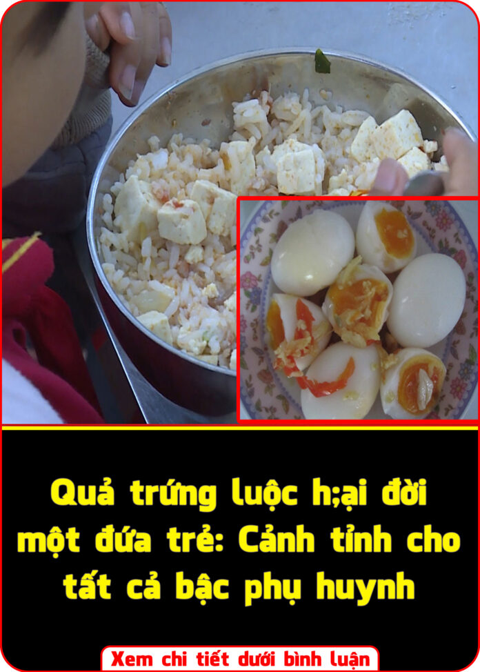 Quả trứng luộc hại đời một đứa trẻ Cảnh tỉnh cho tất cả bậc phụ huynh
