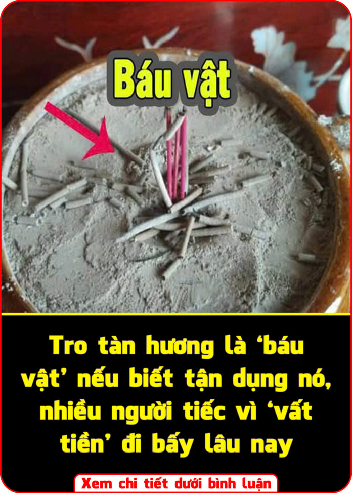 Tro tàn hương là ‘báu vật’ nếu biết tận dụng nó, nhiều người tiếc vì ‘vất tiền’ đi bấy lâu nay