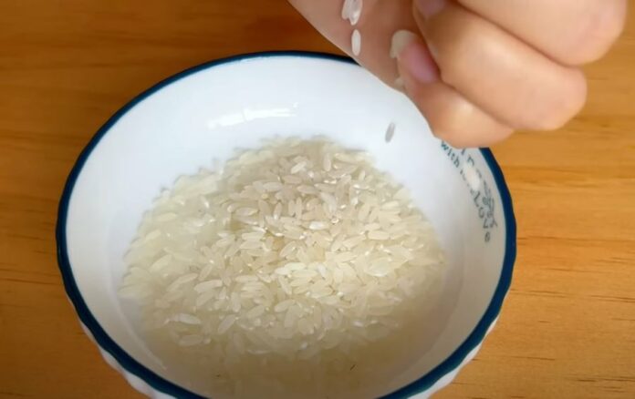 duoi-chuot-bang-gao-phunutoday-01-2112