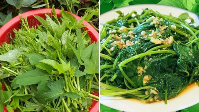 loai-rau-tot-ngang-tien-duoc-la