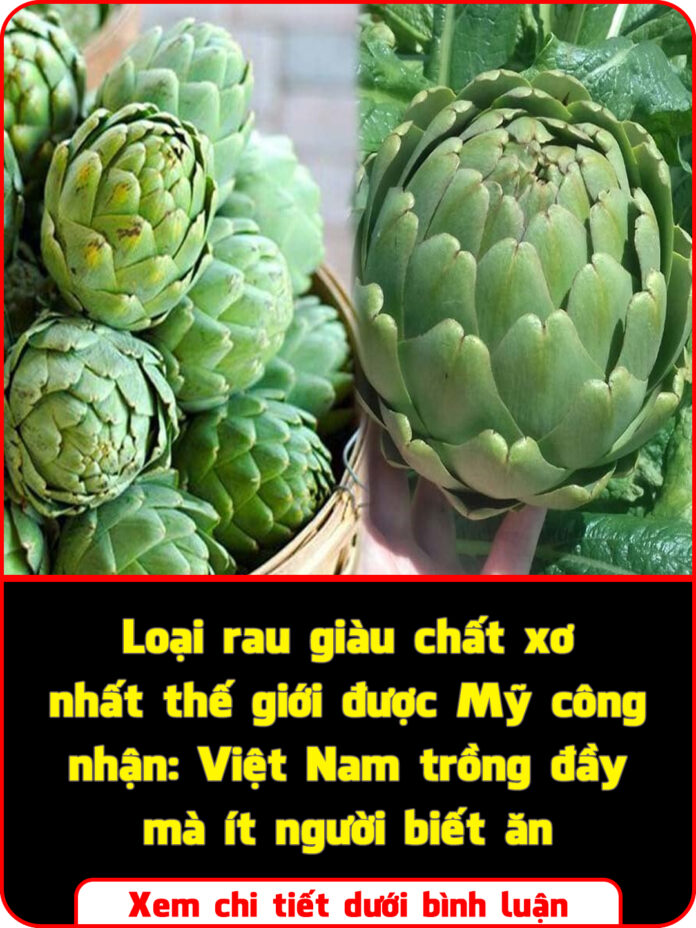 Loại rau giàu chất xơ nhất thế giới được Mỹ công nhận Việt Nam trồng đầy mà ít người biết ăn