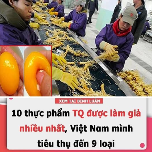 494470444_1090757996426468_3561602990018649772_n