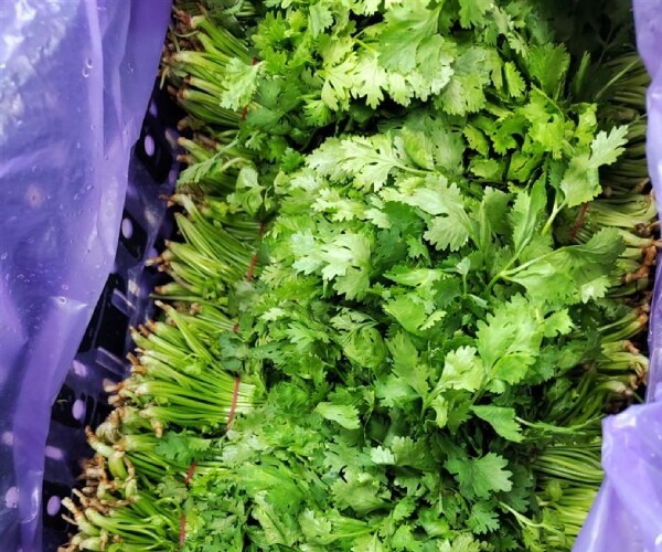 co-5-nghin-mot-mo-nhung-loai-rau