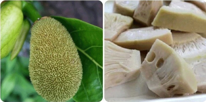 tac dung it nguoi biet cua qua mit non hinh anh 1