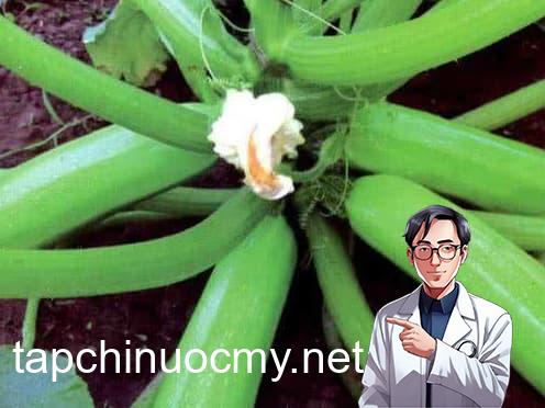 rau ung thư, ung thư