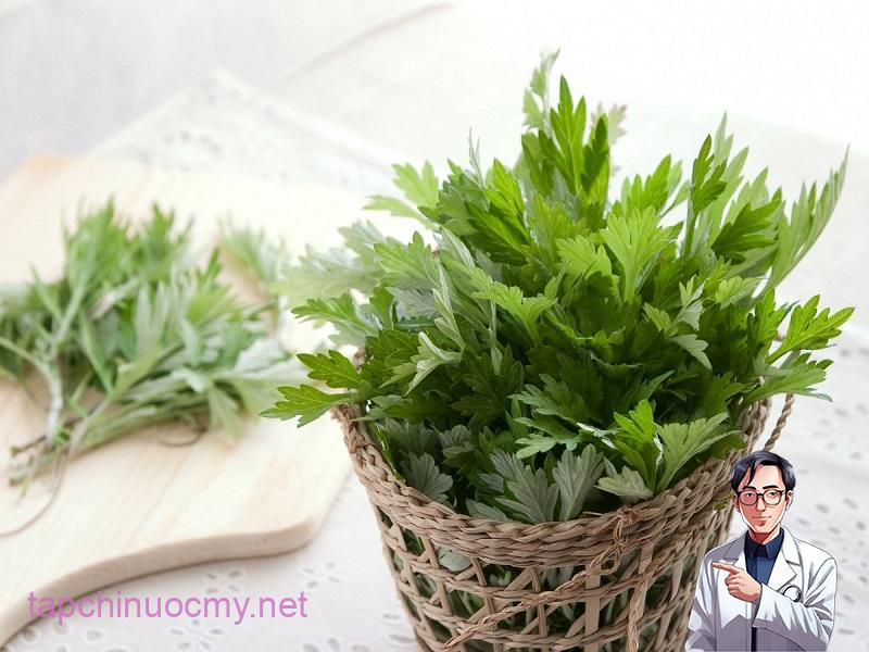 Ngải cứu là loại cây rất quen thuộc với người dân Việt Nam