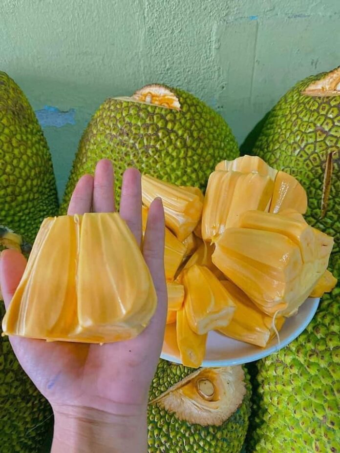 2698611521059553258167531304022377798010858n-1640333480517511344823-1640740603626-16407406037211159771374