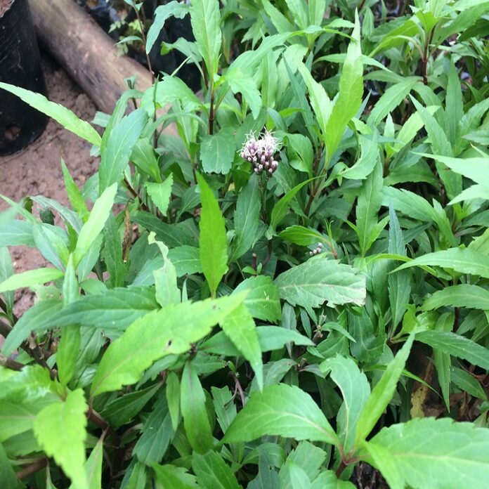 8f36b3b6bd853b43e676585c593b622f