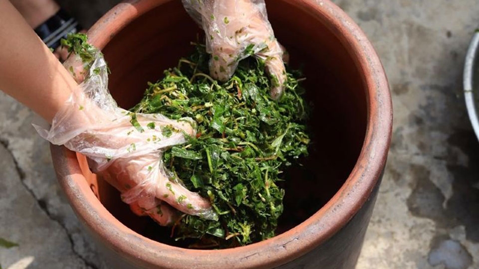 Rau sắn thường được đem đi muối chua