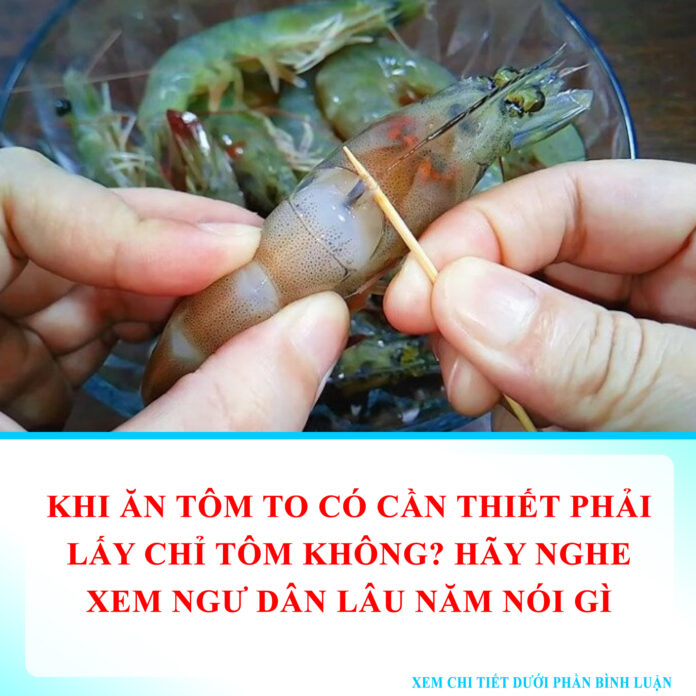 Khi ăn tôm to có cần thiết phải lấy chỉ tôm không Hãy nghe xem ngư dân lâu năm nói gì