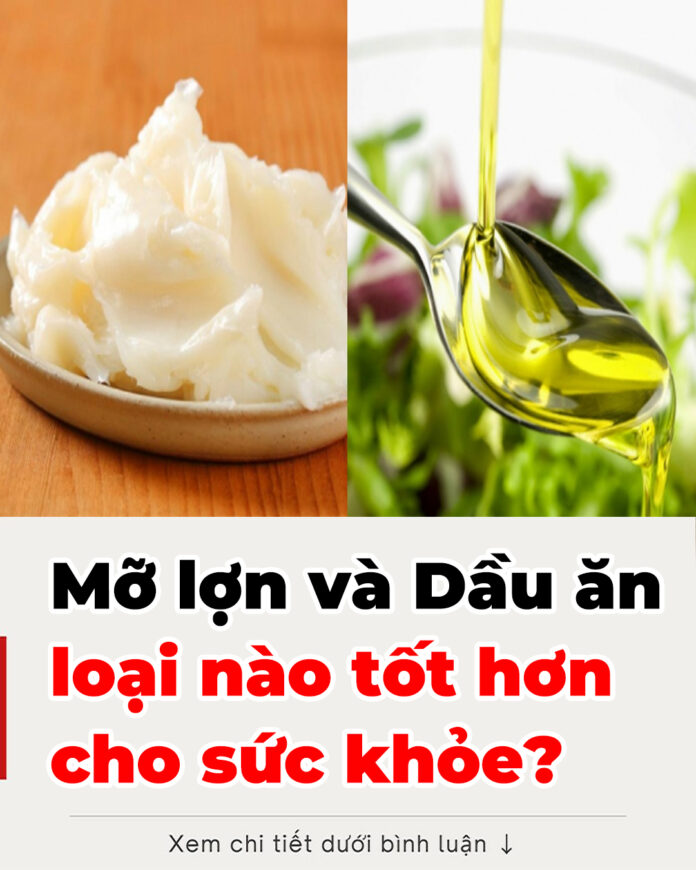 Mỡ lợn và Dầu ăn - loại nào tốt hơn cho sức khỏe