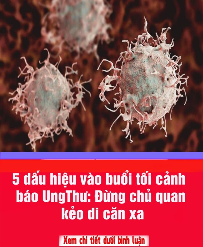 655747964_1363095715862746_1398170637482164183_n